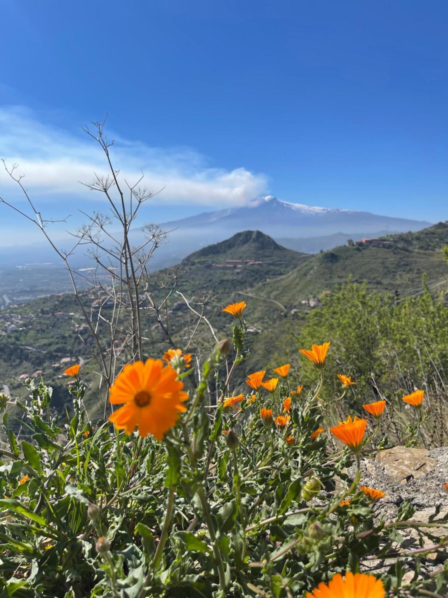 Appartamento Nicoletta Taormina Dış mekan fotoğraf